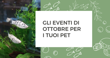 Gli eventi di ottobre per i tuoi pet