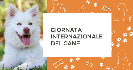 Giornata Internazionale del cane