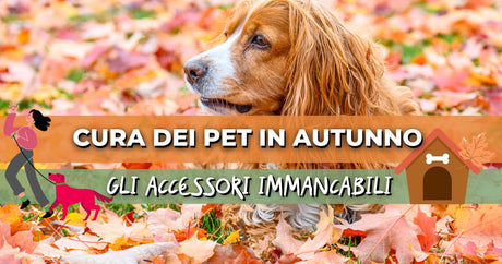 Accessori per animali in autunno: come preparare cani e gatti al cambio stagione