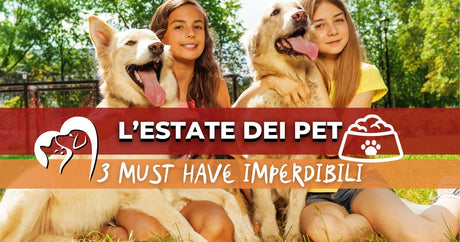Accessori utili per animali in estate: guida ai 3 prodotti indispensabili