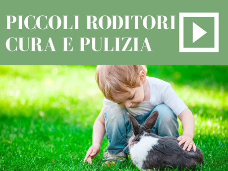 Piccoli roditori