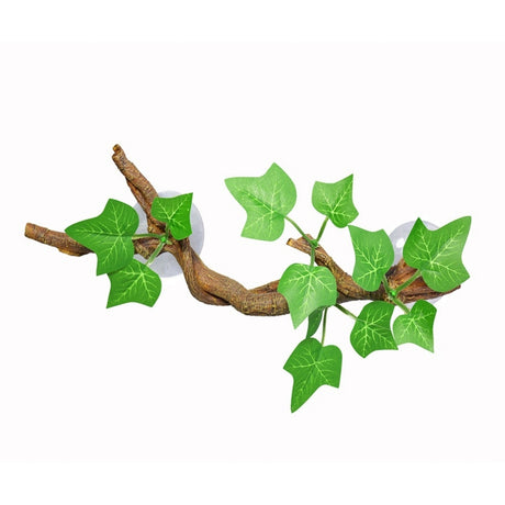 Piante Acquatiche Verdi Rigogliose - Vegetazione per acquario