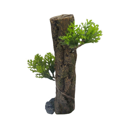 Piante Acquatiche Verdi Rigogliose - Vegetazione per acquario