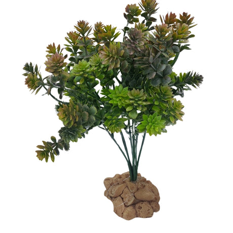 Piante Acquatiche Verdi Rigogliose - Vegetazione per acquario