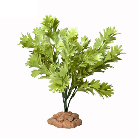 Piante Acquatiche Verdi Rigogliose - Vegetazione per acquario