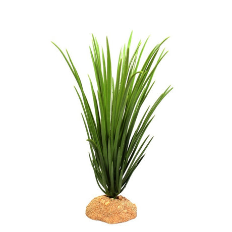 Piante Acquatiche Verdi Rigogliose - Vegetazione per acquario