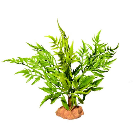 Piante Acquatiche Verdi Rigogliose - Vegetazione per acquario