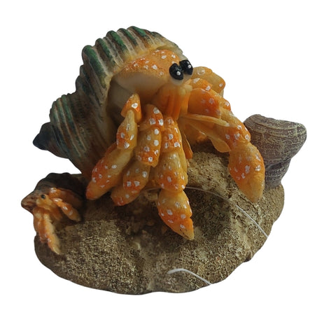 Decorazioni Marine Realistiche - Scenari per vasche di ogni dimensione