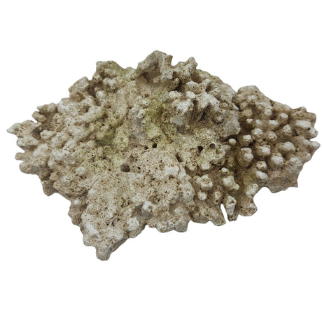 Fondale in Pietra  - Ambientazione rocciosa per acquario