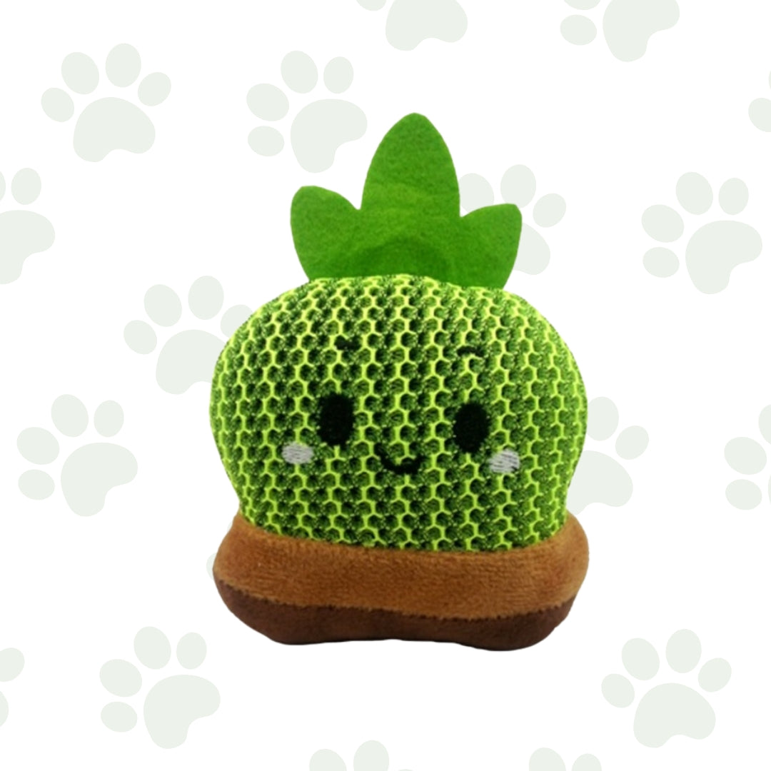 Peluche Cactus - Giochi divertenti per cani
