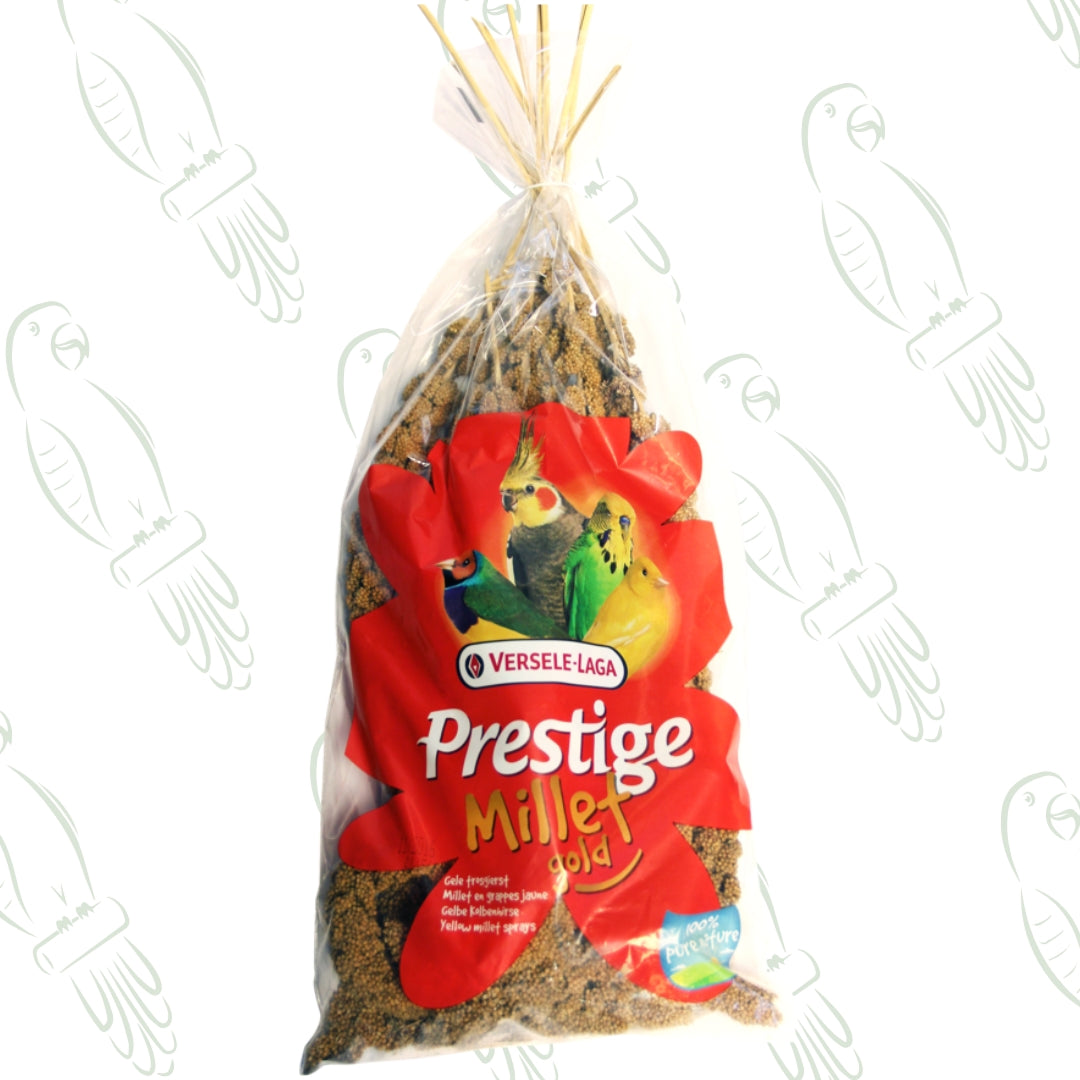 Spighe di panico per uccelli 300 g