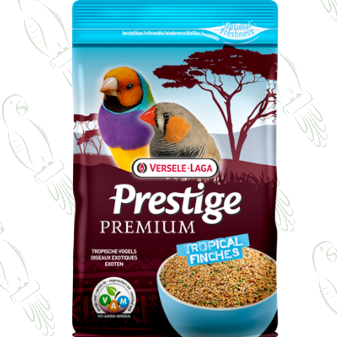 Esotici Premium 800g - Cibo per uccelli tropicali