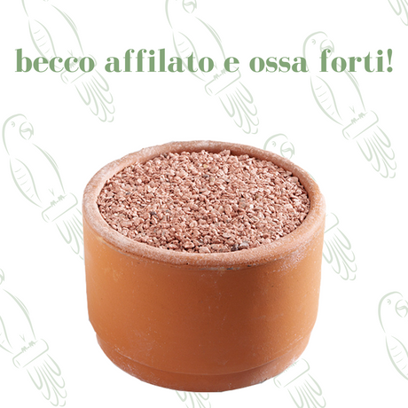 Orlux Pick Bloc 350g - Pietra da beccare per uccelli