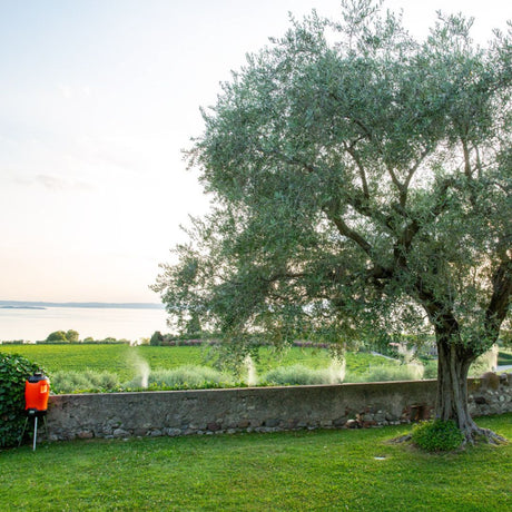 Nebulizzatore Geyser 25L in funzione su prato con ulivo e vista lago, vapore visibile lungo il muretto in giardino
