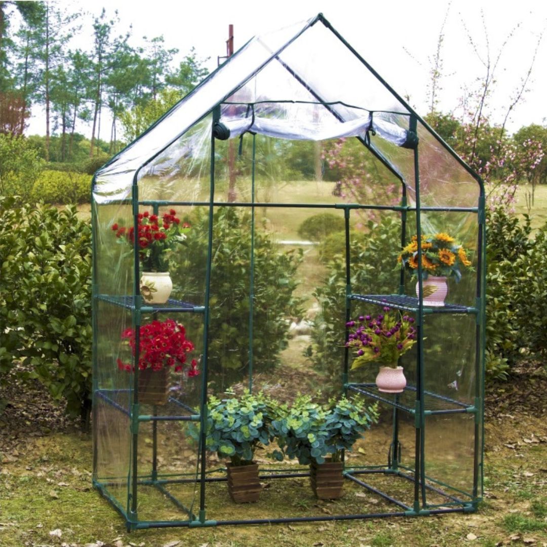 Serra con telo trasparente e ripiani, visibili piante e fiori. Struttura stabile, ideale per coltivare in sicurezza.