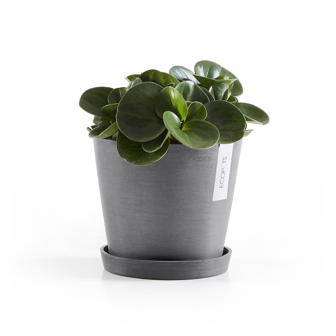 Sottovaso Ecopots - Sottovaso in plastica