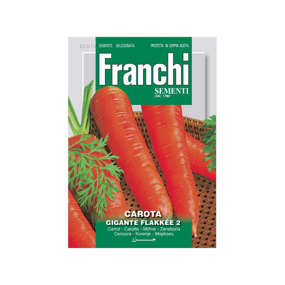 Semi Di Carota St. Valery Gigante - Sementi Per Orto, Carote Grandi E Dolci - Foto 14