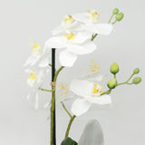 Pianta Artificiale Phalaenopsis Bianco in Vaso Bianco H33