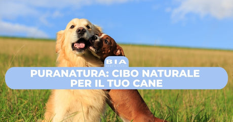 PuraNatura: cibo naturale per il tuo cane