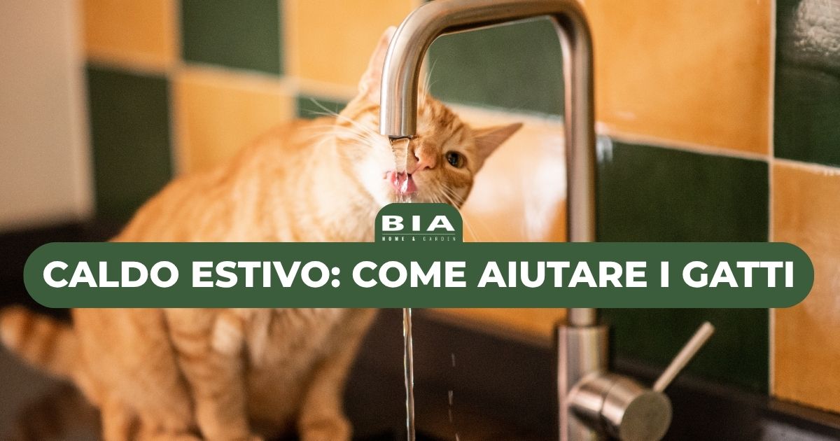 Caldo estivo: come aiutare i gatti