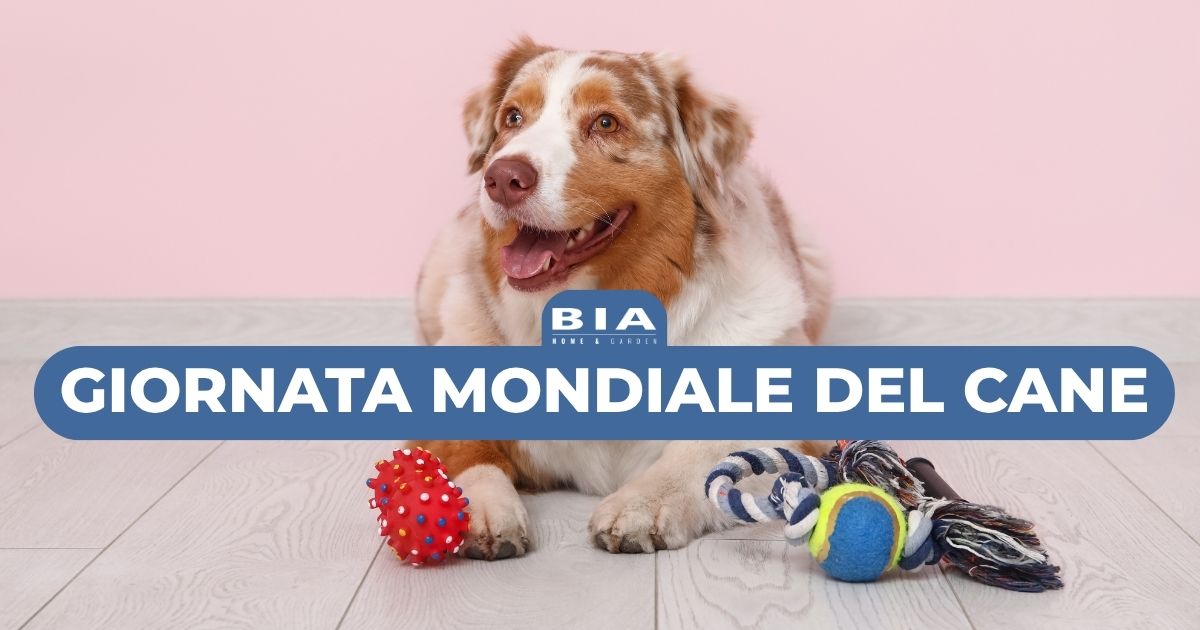 26 agosto: Giornata Mondiale del Cane