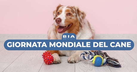 26 agosto: Giornata Mondiale del Cane