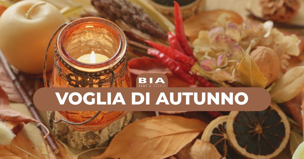 Voglia di autunno