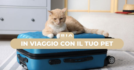 In viaggio con il tuo pet