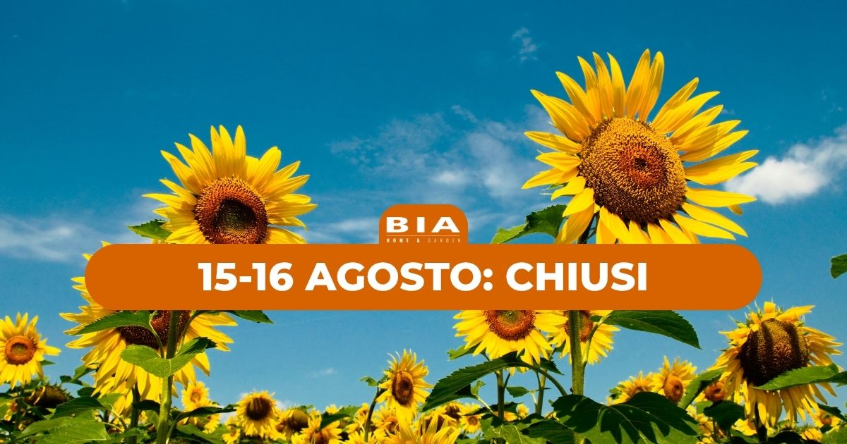 15-16 agosto: chiusi