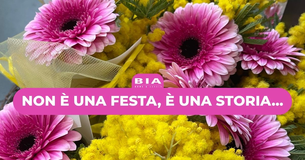 Non è una festa, è una storia...