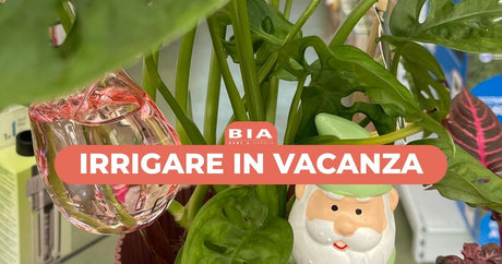 Irrigare in vacanza