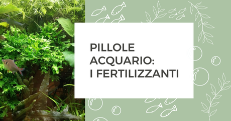 Pillole acquario: i fertilizzanti