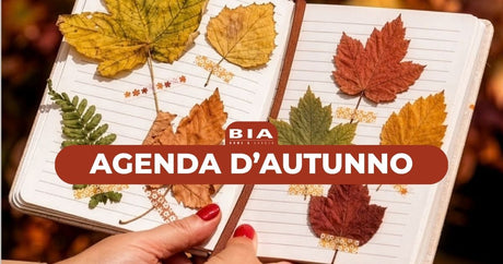 17 settembre - 18 ottobre: Agenda d'Autunno