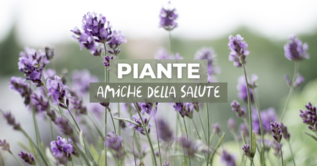 Il giardino per la salute: le piante che fanno bene