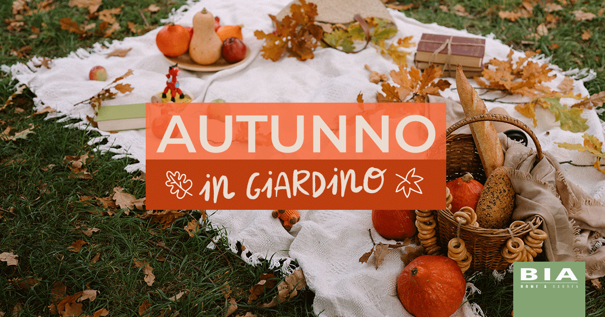 Autunno in giardino: le idee per viverlo al meglio