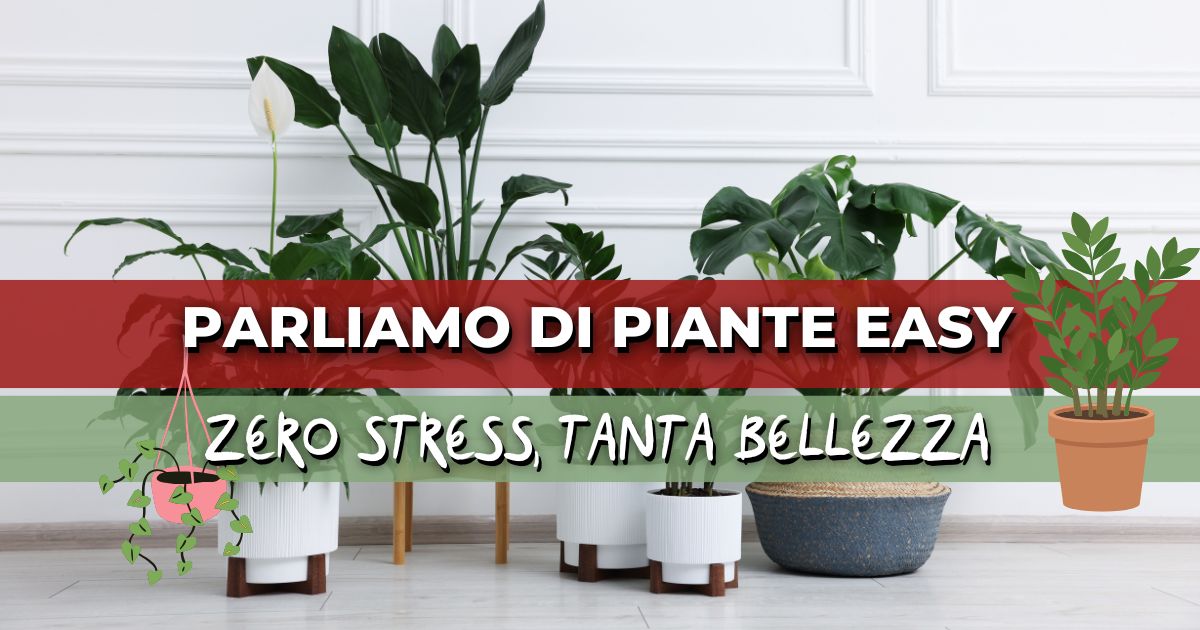 Le piante più facili da curare nel 2026: zero stress, tanta bellezza