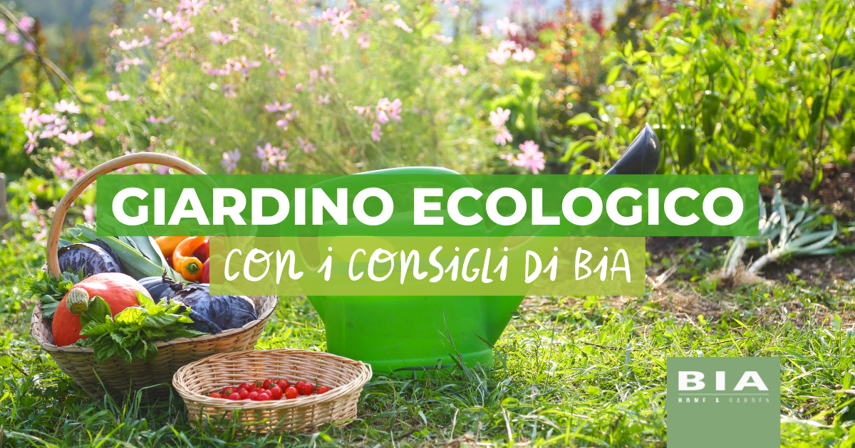 Giardinaggio sostenibile: i consigli per un giardino ecologico