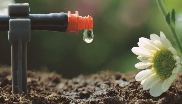 Irrigare bene le piante: i sistemi automatici