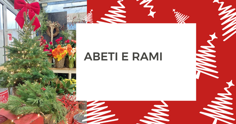 Abeti e rami