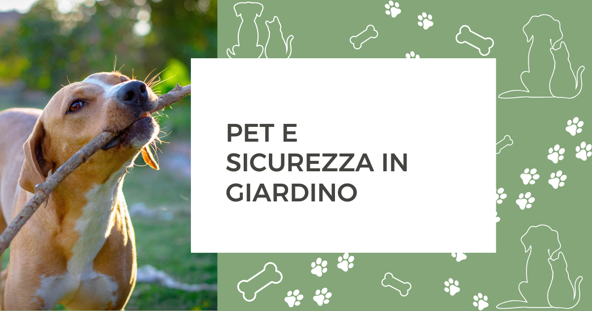 Pet e sicurezza in giardino