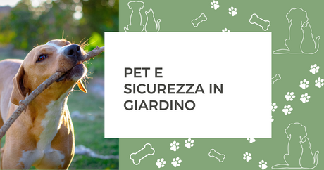 Pet e sicurezza in giardino