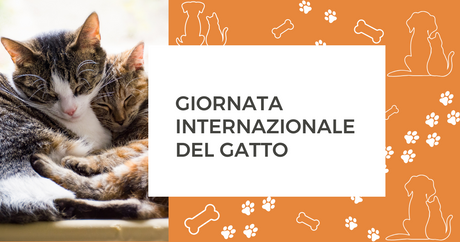 Giornata Internazionale del gatto