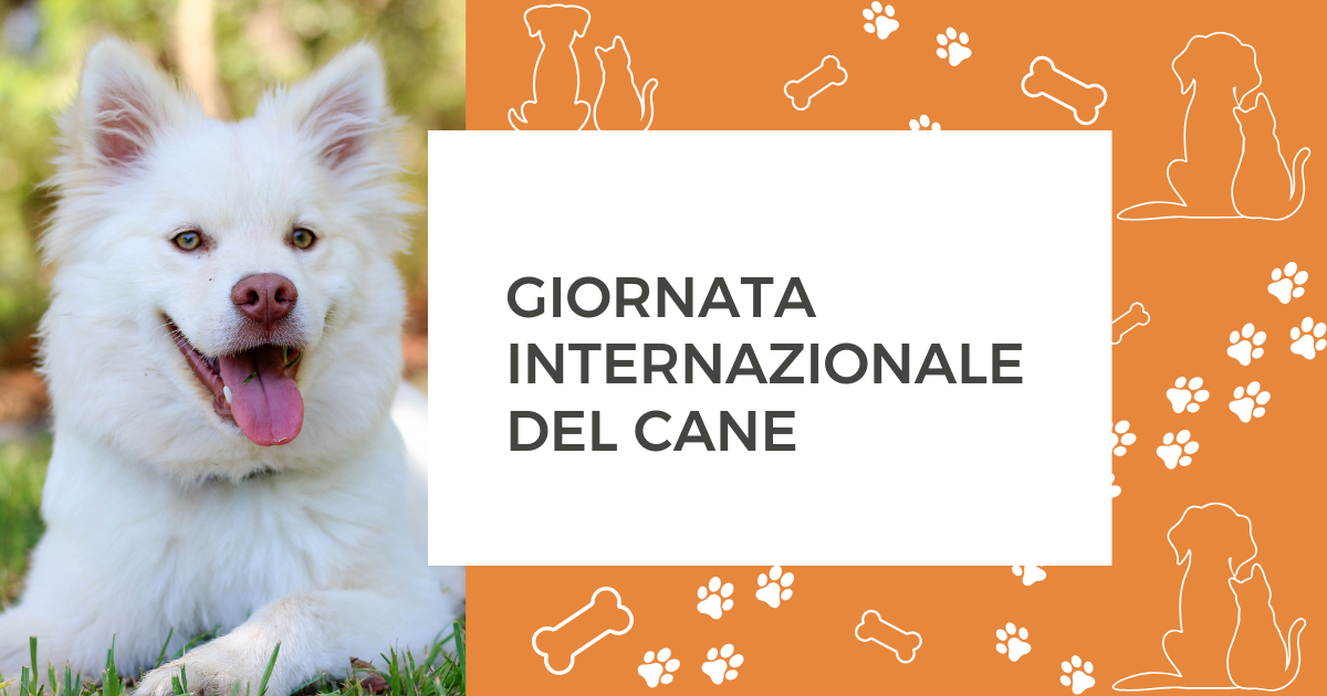 Giornata Internazionale del cane
