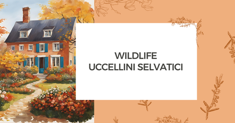 WILDLIFE: UCCELLINI SELVATICI