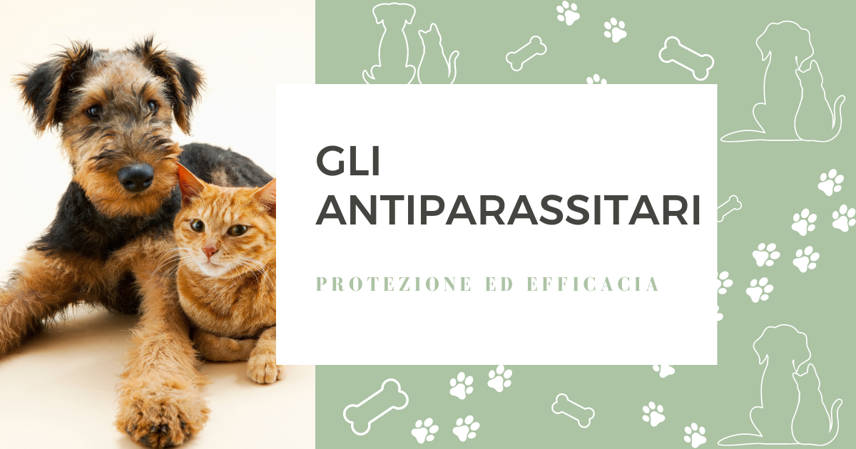 Gli antiparassitari: protezione ed efficacia