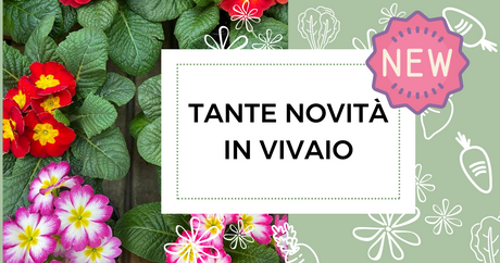 Tante novità in vivaio