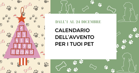 Calendario dell'Avvento per i tuoi pet