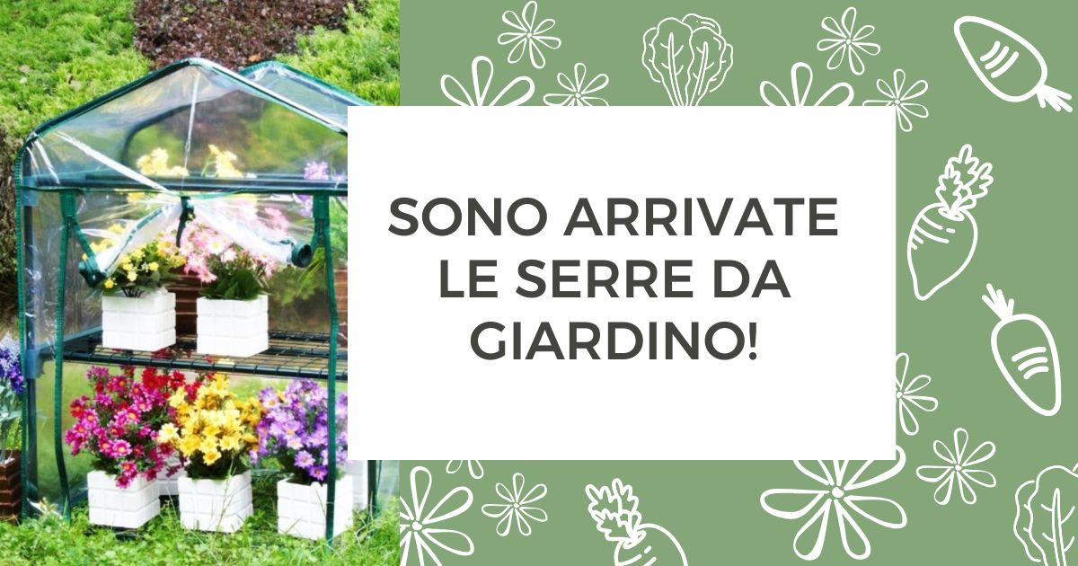 Sono arrivate le serre da giardino!