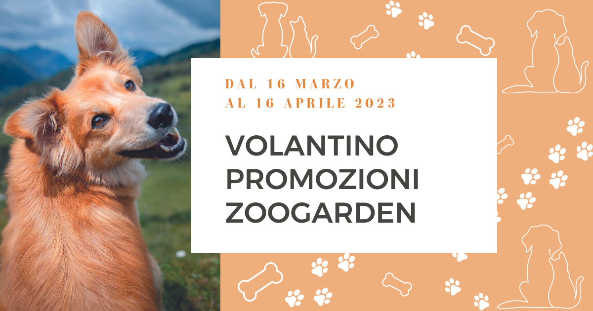 16 Marzo 2023 - Inizio volantino zoogarden