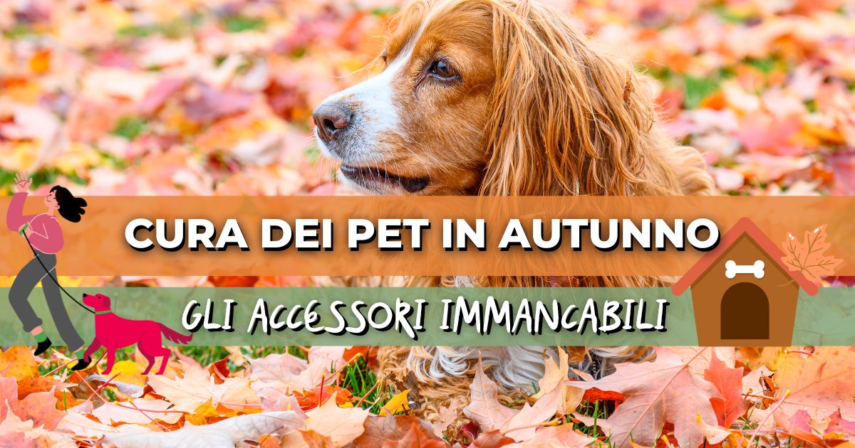 Accessori per animali in autunno: come preparare cani e gatti al cambio stagione